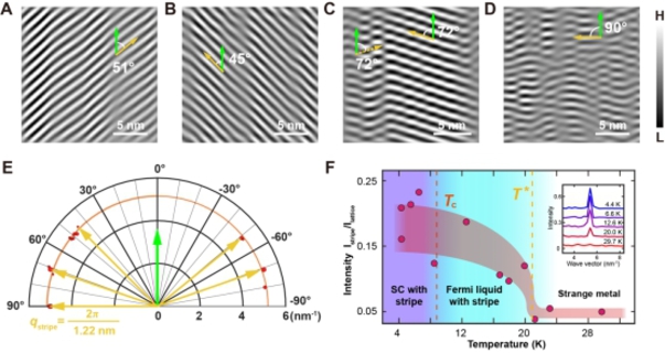 Carousel 692ce4bba066ee5c717c33db